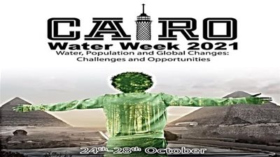 وزير الري: مصر تسعى لدفع الجهود الدولية لمواجهة التحديات المائية 