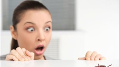 أبطالها القطط وأفلام الرعب.. مواقف كوميدية للبنات بسبب الخوف 