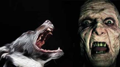 تطرد الأشباح.. خبيرة طاقة توضح فائدة الحيوانات في المنزل