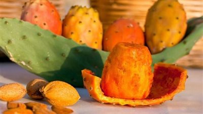 تفسير حلم التين الشوكي في المنام للعزباء والمتزوجة والحامل