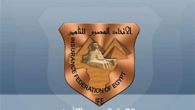 ما هي المخاطر السياسية وكيف يحمي «التأمين» منها.. التفاصيل كاملة