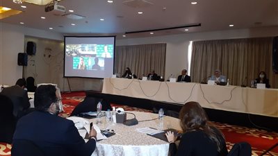 السنباطي: البنية التشريعية توفر الحماية لـ 38 مليون طفل مصري