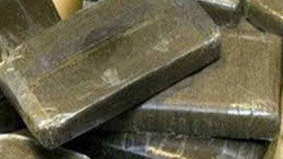 تتزعمه فتاة.. ضبط تشكيل عصابي لتجارة المخدرات في طنطا