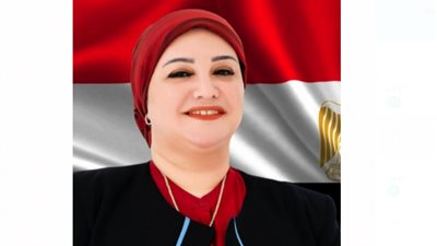 النائبة سولاف درويش لـ«هير نيوز»: المبادرات الرئاسية حفظت للمرأة حقوقها