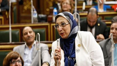 النائبة إيناس عبد الحليم: المرأة صاحبة النصيب الأوفر من المبادرات الرئاسية