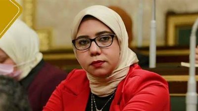 النائبة هيام الطباخ تتقدم بطلب لوزيري التضامن والقوى العاملة بشأن عمال 
