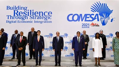 خبير اقتصادي يكشف أهمية استضافة مصر لقمة الكوميسا| فيديو