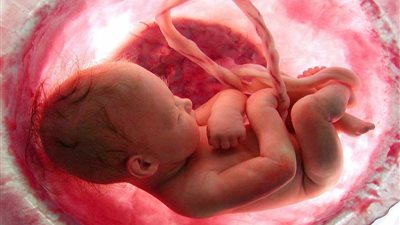 طبيب نساء وتوليد يكشف فرص نجاح الحمل خارج الرحم