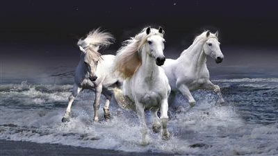 تفسير رؤية «حصان أبيض» في المنام 