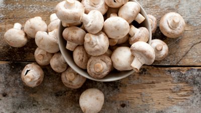 «الفطر».. عنصر مفقود في روتين عناية بشرتك