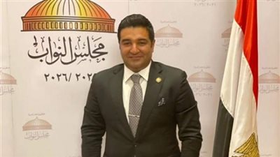 الجمع بين معاشين.. مشروع قانون جديد في مجلس النواب من أجل ذوي الإعاقة