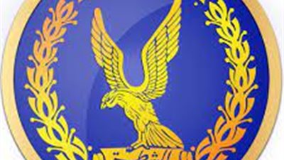 كشف حقيقة فيديو السيدة المستغيثة أثناء هدم بيتها 