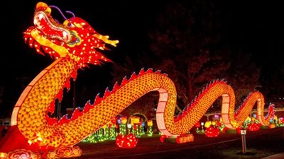 العام الجديد 2022 في آسيا| «التنانين الصينية و108 دقة جرس باليابان»| صور