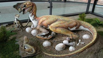 العثور على ديناصور صغير عمره 70 مليون سنة محفوظًا في بيضة| صور