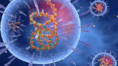 طبيب يشرح أعراض ومخاطر فيروس لاسا الجديد وعلاقته بكورونا