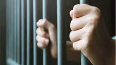 «خدعة الفويل المضروب».. سقوط سيدتين تتزعمان عصابة النصب على أصحاب الشركات