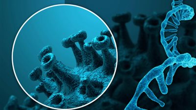 «أوميكرون الخفي» الطفرة الأسرع في الانتشار وهذه أعراضها