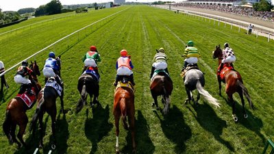 «الإفتاء»: المراهنات الرياضية حلال في هذه الحالات 