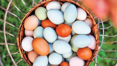 ملك السحور.. 4 كنوز يمنحها البيض لصحة أطفالك