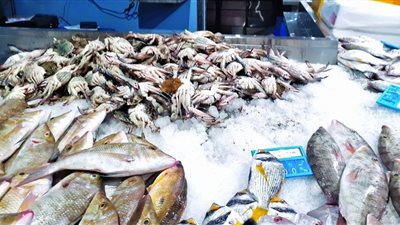 أسعار الأسماك بجميع أنواعها اليوم الجمعة في الأسواق