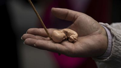 «الإفتاء»: تحنيط الجنين الميت وعرضه في العيادات الطبية «لا يجوز» 