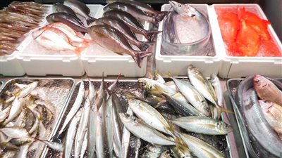 أسعار الأسماك في الأسواق اليوم الخميس.. السردين بـ60 جنيهًا