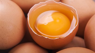 تفسير حلم البيض النيئ في المنام وعلاقته بالنكد وكثرة الهموم