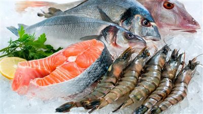 أسعار الأسماك في الأسواق اليوم الثلاثاء.. قشر بياض بـ140 جنيها