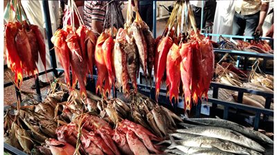 أسعار الأسماك اليوم الأربعاء في الأسواق.. جمبري مجمد بـ170 جنيها