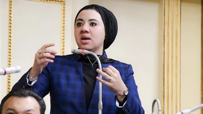 النائبة أميرة قنديل أصغر أعضاء مجلس أمناء الحوار الوطني