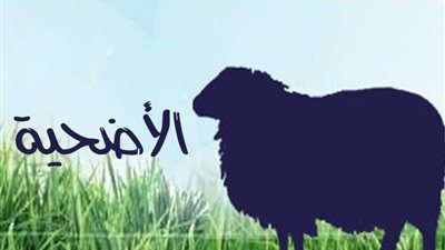 «قبل عيد الأضحى».. ما هي الشروط الواجب توافرها بالأضحية السليمة| خبير يُجيب