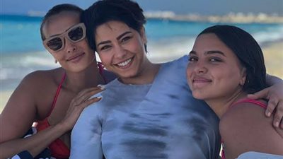 نشرة أهل الفن.. 