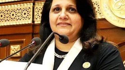 النائبة نيفين الأنطوني عن مشروع 