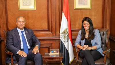 «المشاط» وممثل «الفاو» يناقشان برنامج «نُوَفِّي» لتمويل المشروعات الخضراء