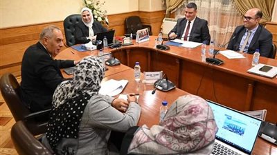 وزيرة التضامن تستقبل نائب وزير الاتصالات لاستكمال استراتيجية التحول الرقمي