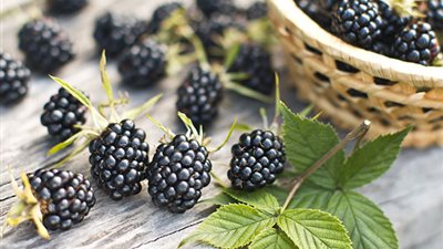 «خلال 24 ساعة».. فاكهة تُقلل نمو الخلايا السرطانية بنسبة 60%