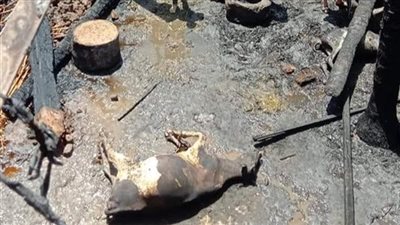 إصابة ربة منزل في حريق حوش بسوهاج