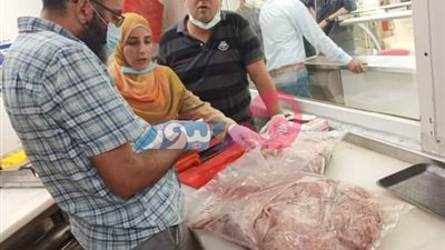 مديرة الطب البيطري: منح الضبطية القضائية لـ7 أطباء في جنوب سيناء