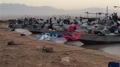 باحثة التراث «نادية عبده» تستعرض قصة صيد السمك وأنواعه في البادية