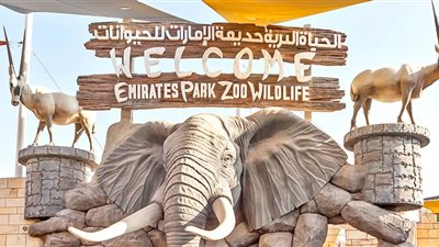 من هي بطلة أول فيلم مصري يصور في حديقة حيوان «أبو ظبي».. فيديو