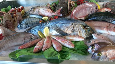 أسعار الأسماك اليوم الأحد.. استقرار البلطي بدرجاته والسبيط يصل 220 جنيهًا للكيلو	 