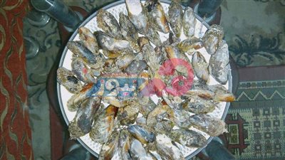 فوائد مذهلة لـ«بلح البحر».. تعرفي عليها