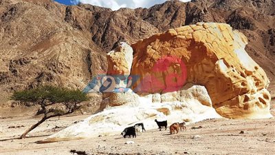 «وادي زغير» في نويبع.. وجهة خيالية لعشاق الطبيعة