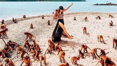 شاطئ القردة في تايلاند.. مقصد النساء للعب مع «المشاغبين»