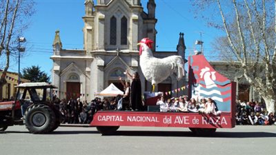 من مسيرة الدجاج لـ حفلات الشواء.. أسرار مهرجان الطيور في الأرجنتين