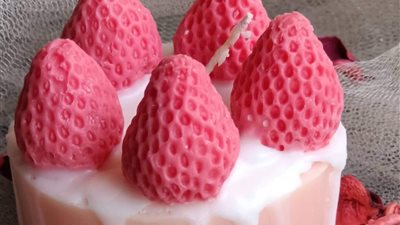 ولاء عادل.. طبيبة بيطرية تركت مهنتها من أجل تصميم الشموع 