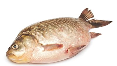 أسعار الأسماك اليوم الثلاثاء.. البلطي رقم 1 يتراجع جنيهين للكيلو