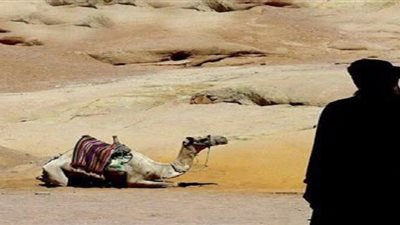 سعاد بنت منقذ.. «تميمة الشؤم» عند العرب.. وصاحبة أطول معركة في التاريخ