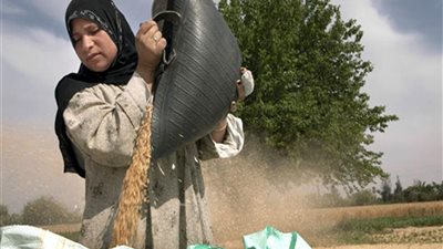  برعاية «هير نيوز».. بني سويف تستضيف مؤتمر اليوم العالمي للمرأة الريفية