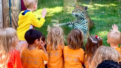 صور| ادرس والعب مع الفيل والأسد.. مدرسة داخل حديقة الحيوانات في أمريكا 